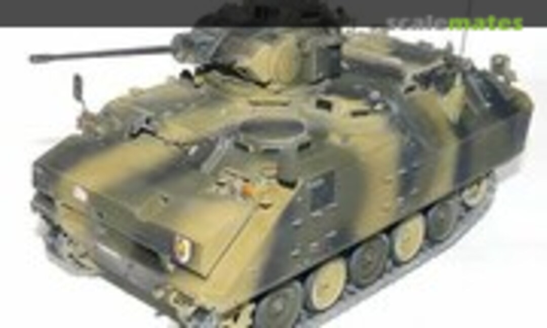 AIFV 1:35