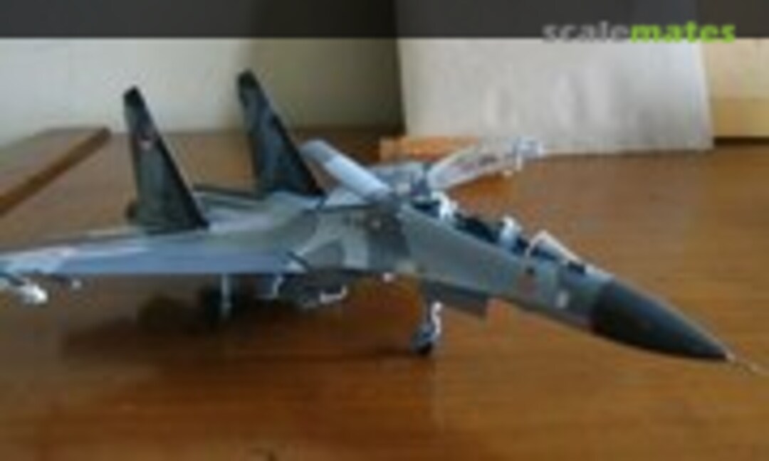 Sukhoi Su-30 Flanker-C 1:72