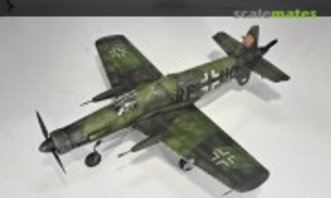 Dornier Do 335 B-2 1:48