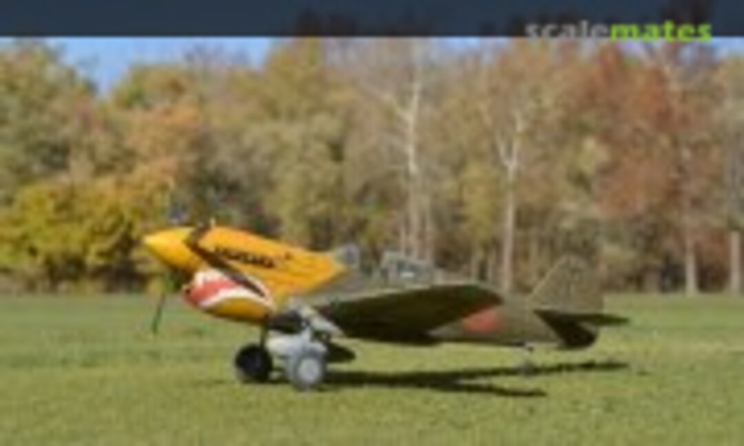 Curtiss P-40D Warhawk 1:72