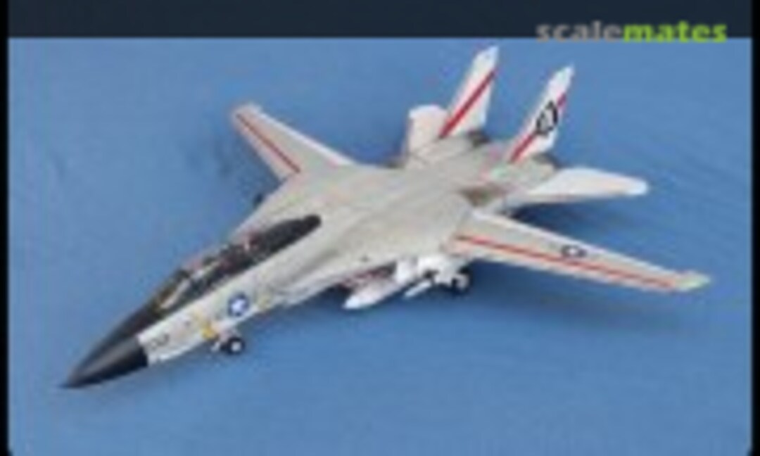 Grumman F-14A Tomcat 1:48