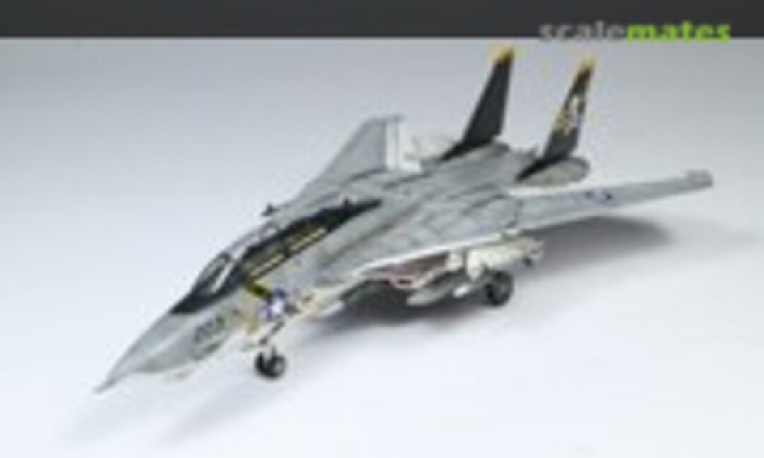 Grumman F-14A Tomcat 1:144