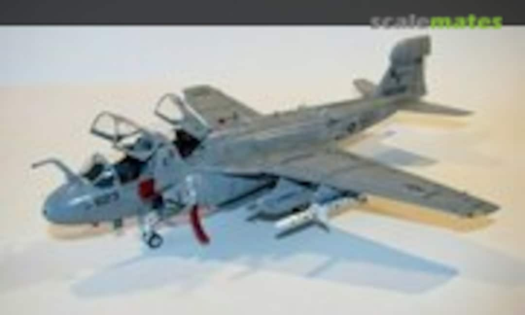 Grumman EA-6B Prowler 1:72