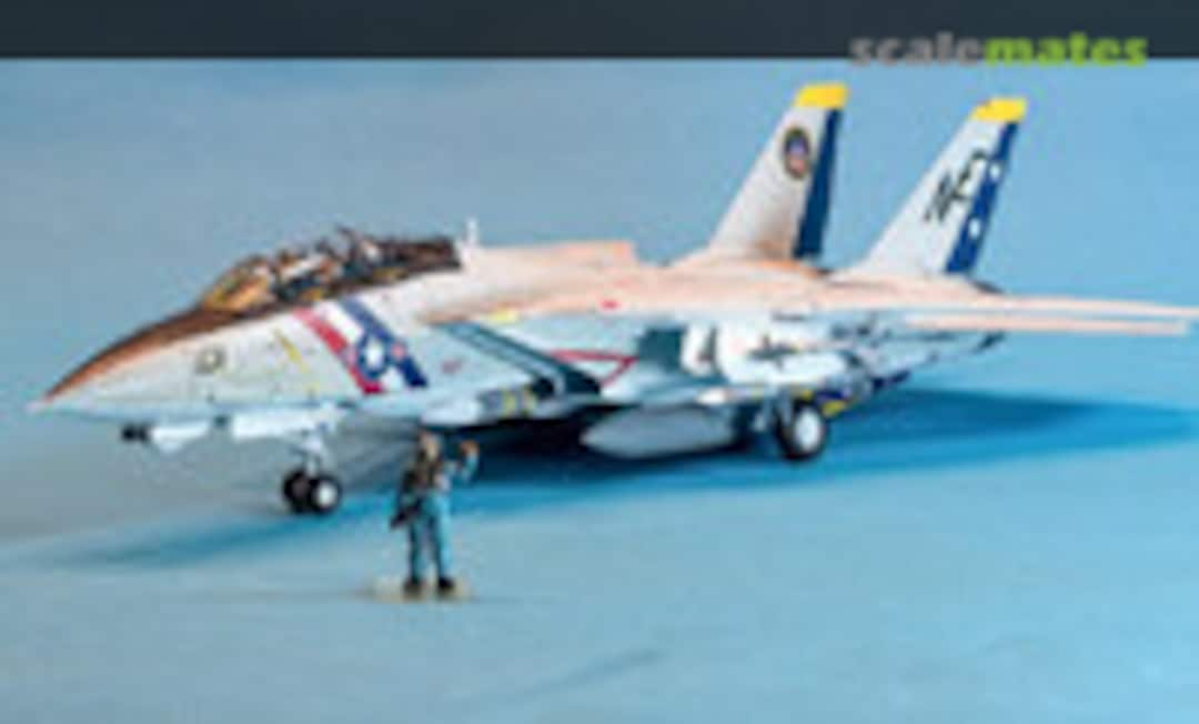 Grumman F-14D Tomcat 1:72