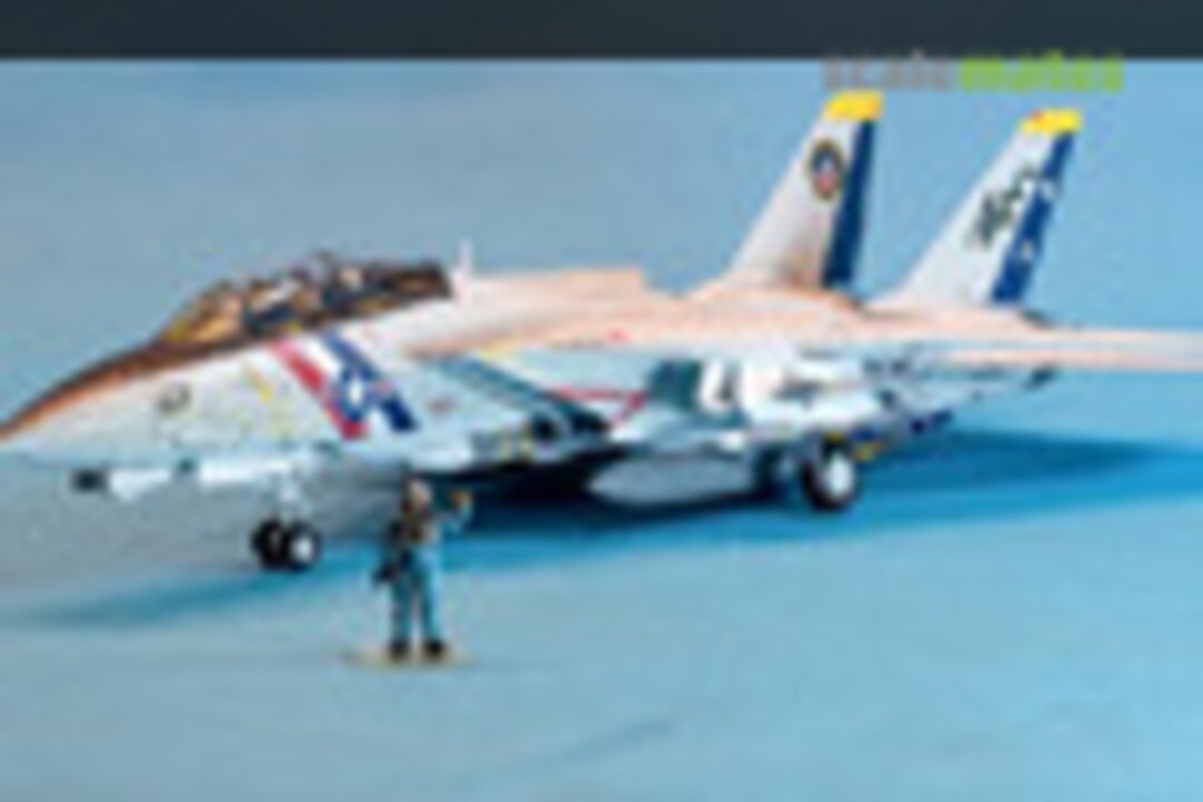 Grumman F-14D Tomcat 1:72