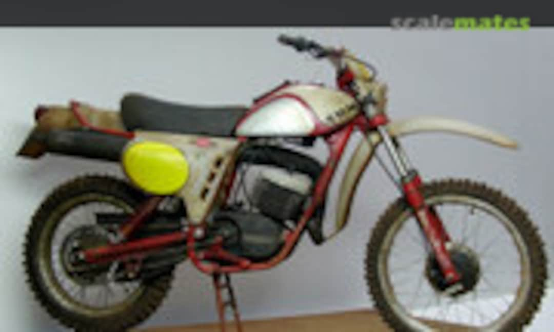 SWM RS 250 GS 1:9