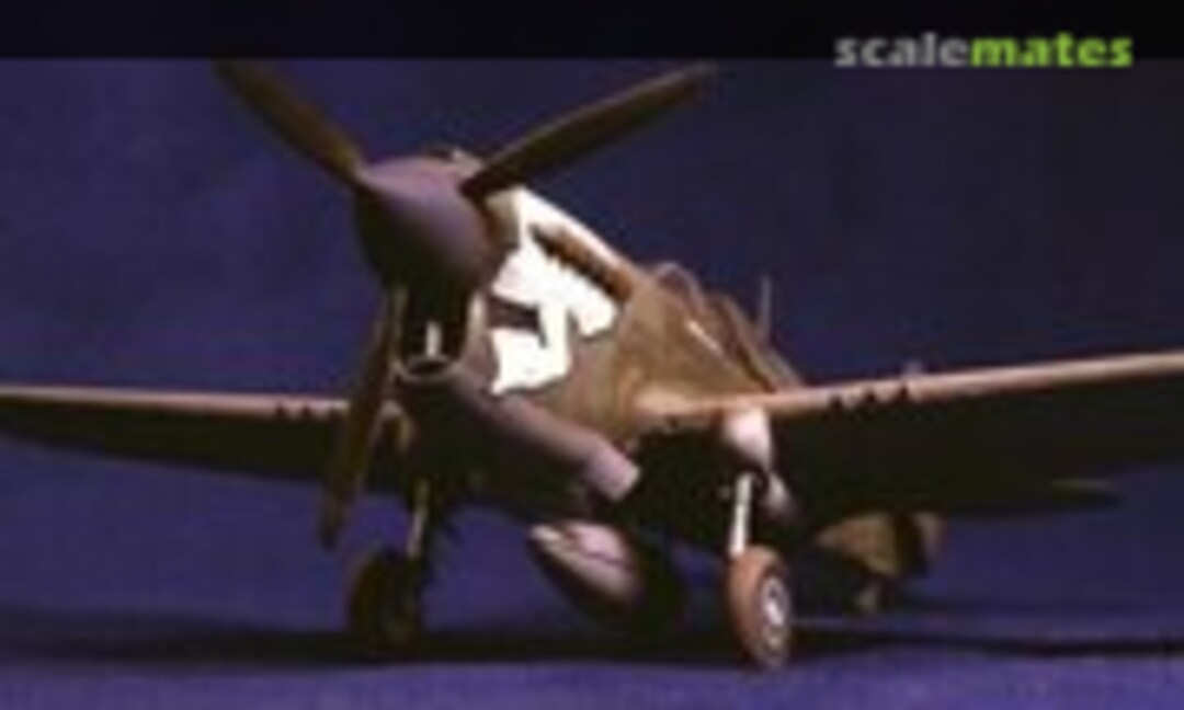 Curtiss P-40N Warhawk 1:48