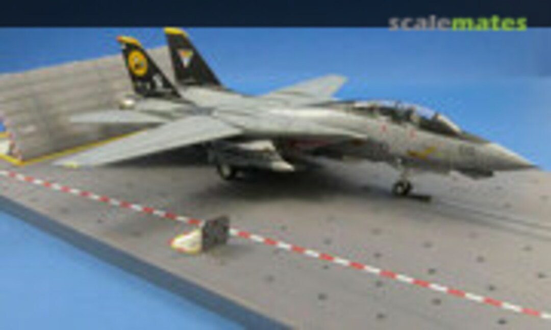 Grumman F-14D Tomcat 1:72