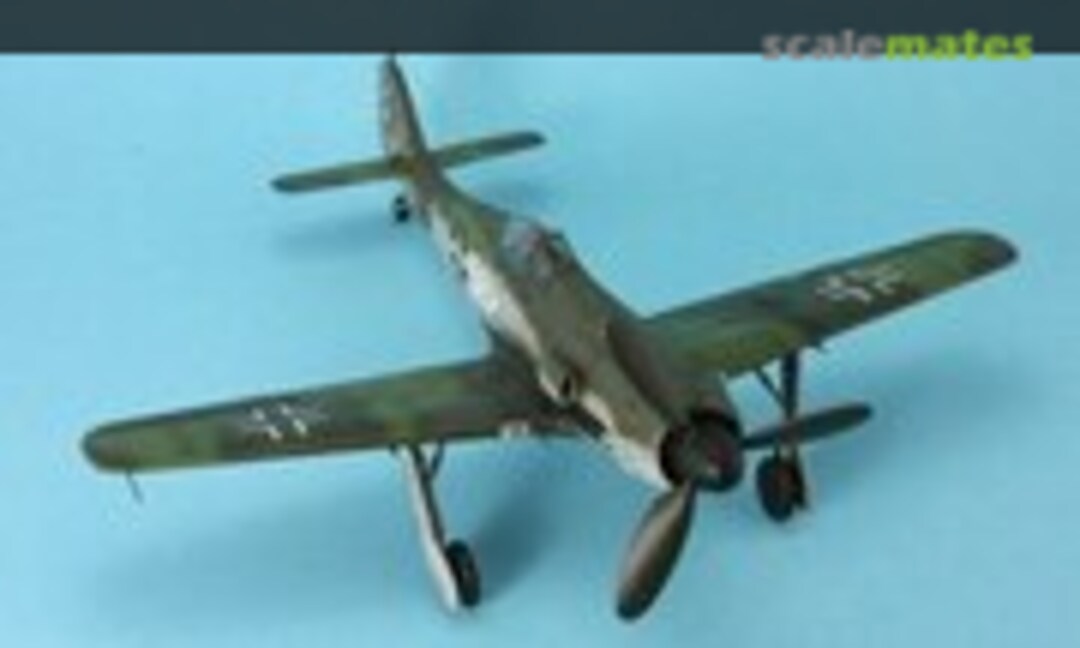 Focke-Wulf Fw 190D-11 1:48