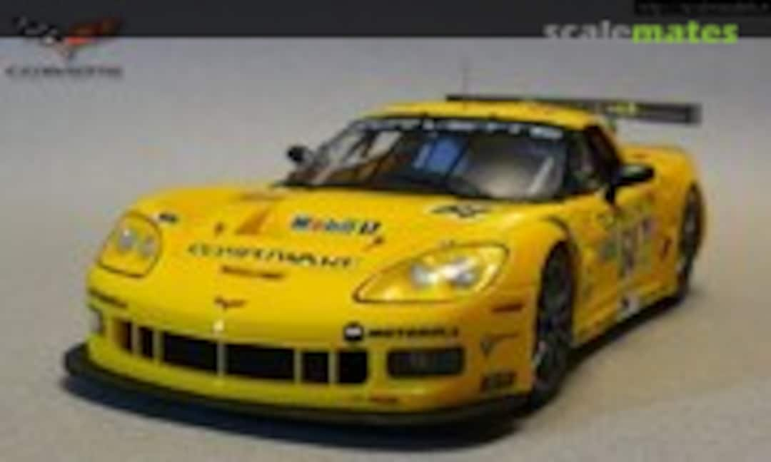 Corvette C6-R 1:25