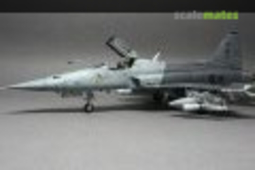 Northrop F-5S Tiger II 1:48