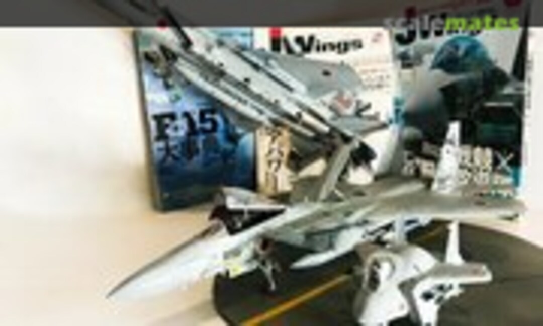 F-15J #72-8895 1:48