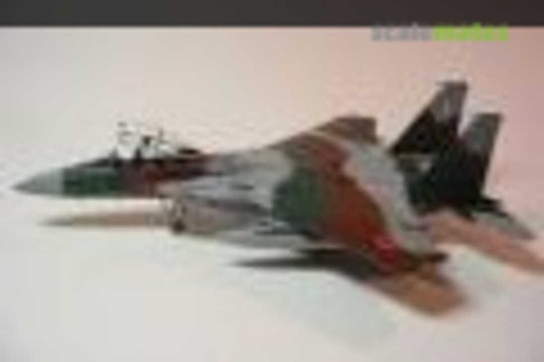 Mitsubishi F-15DJ Eagle 1:48