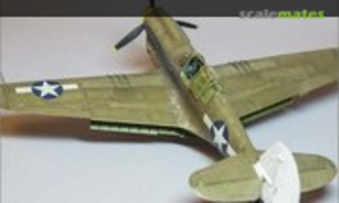 Curtiss P-40N Warhawk 1:48