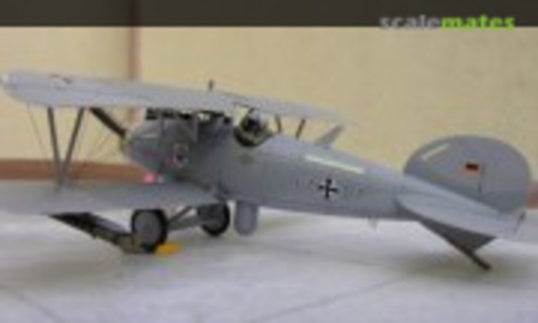 Albatros D.MM (Albatros 2000) 1:48