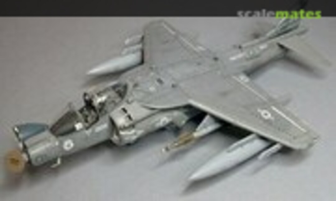 Boeing AV-8B Harrier ll Plus 1:48