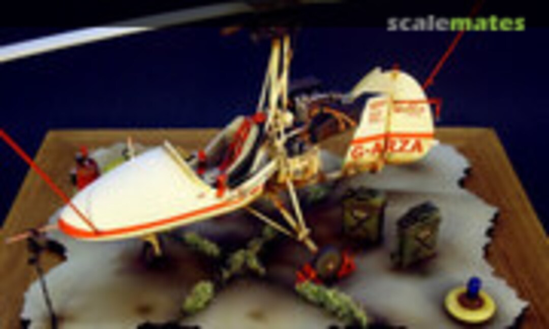 Wallis WA-116 Agile Autogyro 1:18