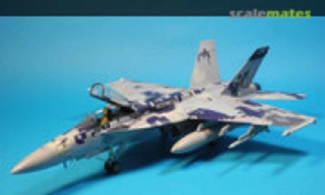 Boeing F/A-18E Super Hornet 1:48