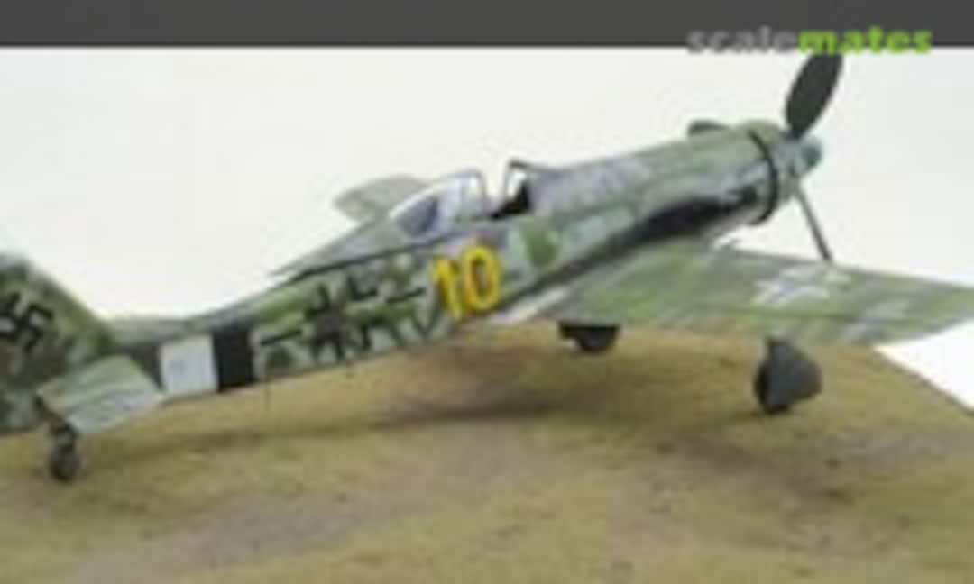 Focke-Wulf Fw 190D-13 1:48