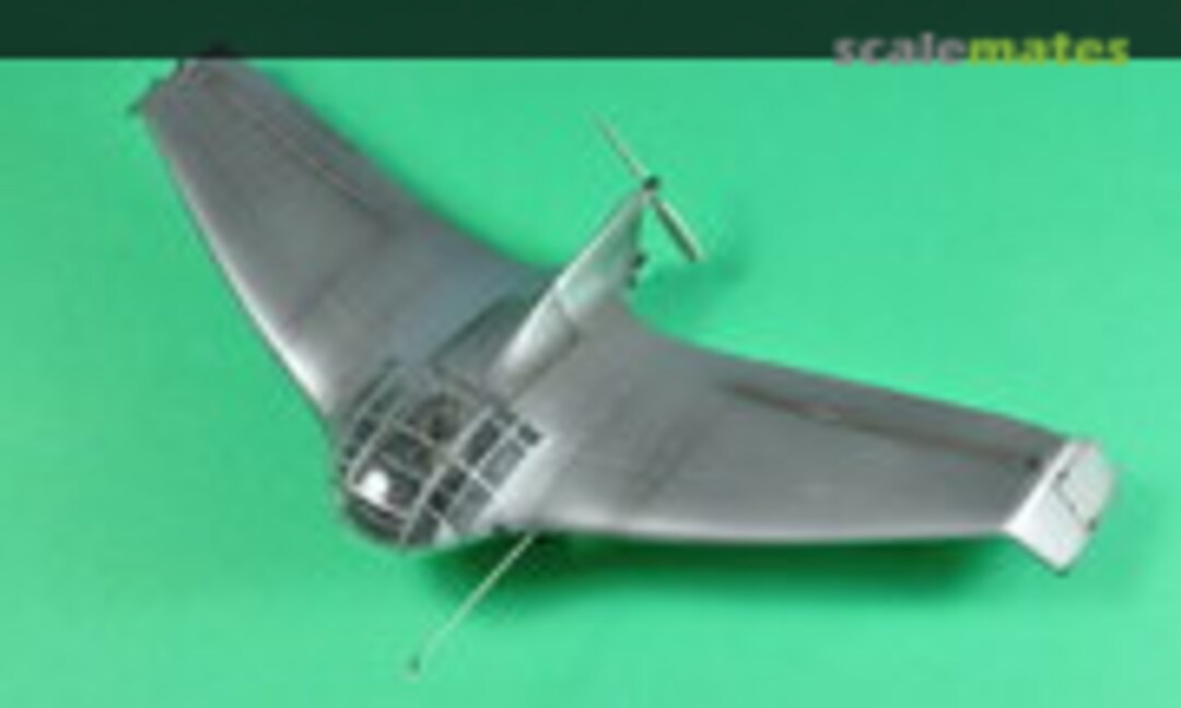 DFS-40 / Lippisch Delta V 1:72