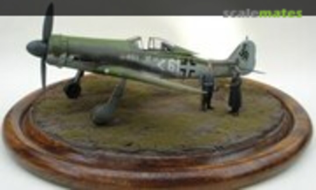 Focke-Wulf Fw 190D-11 1:48