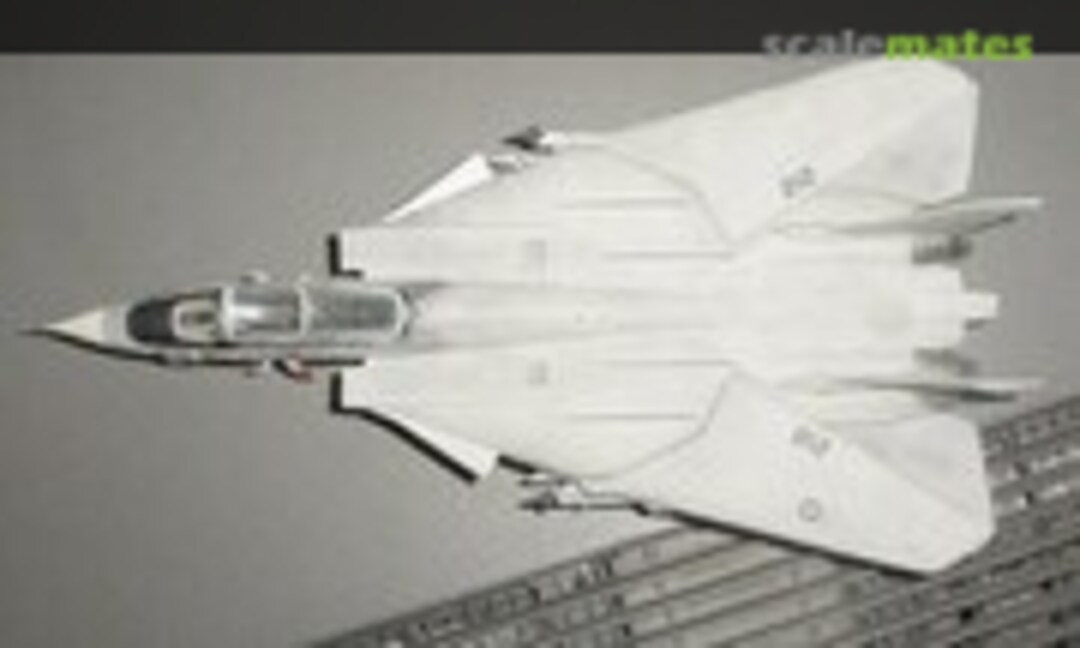 Grumman F-14A Tomcat 1:72