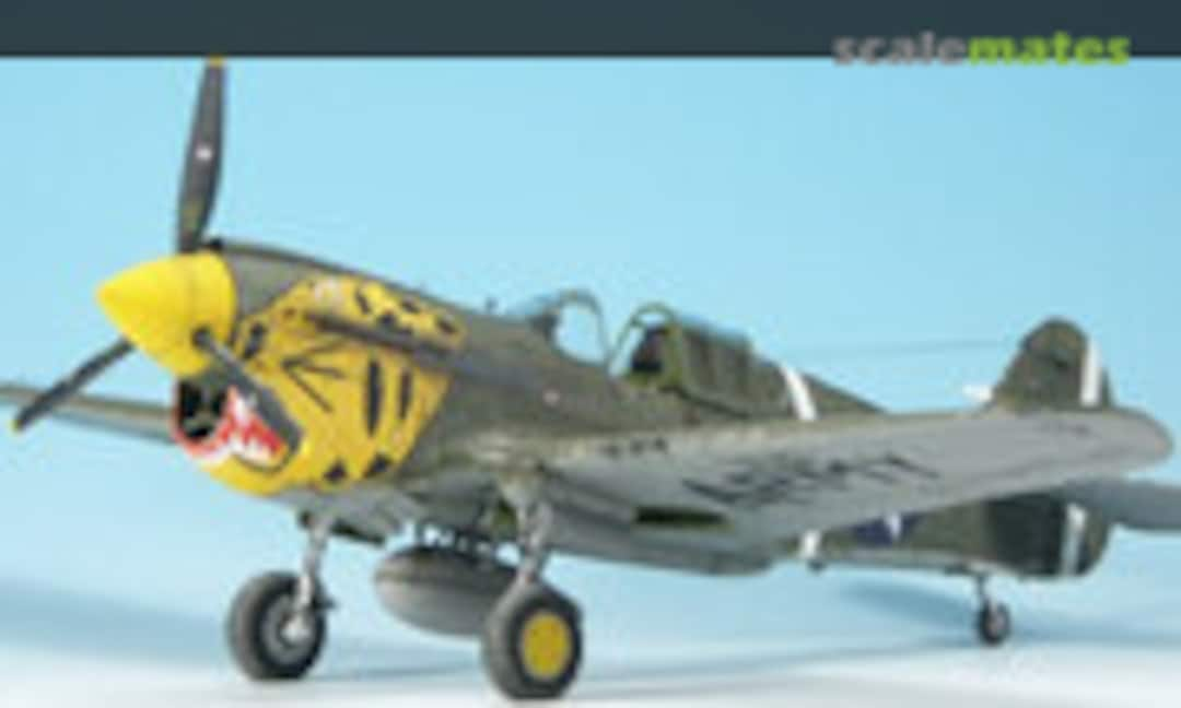 Curtiss P-40E Warhawk 1:48