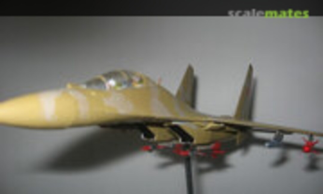 Sukhoi Su-30 Flanker-C 1:72