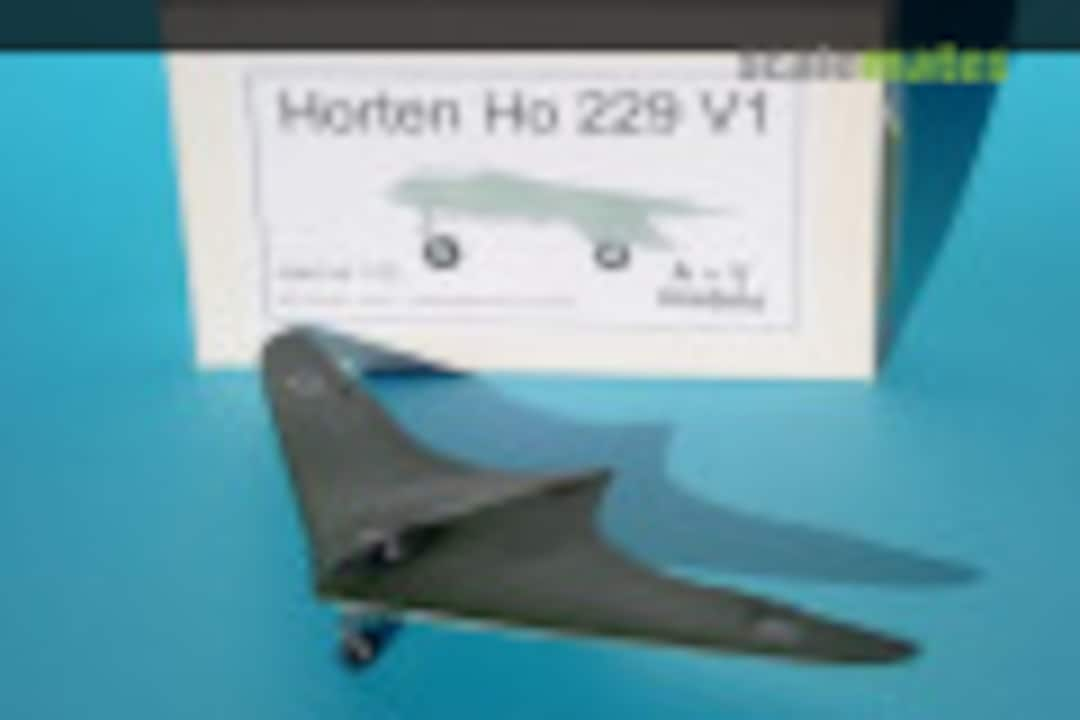 Horten IX V1 1:72