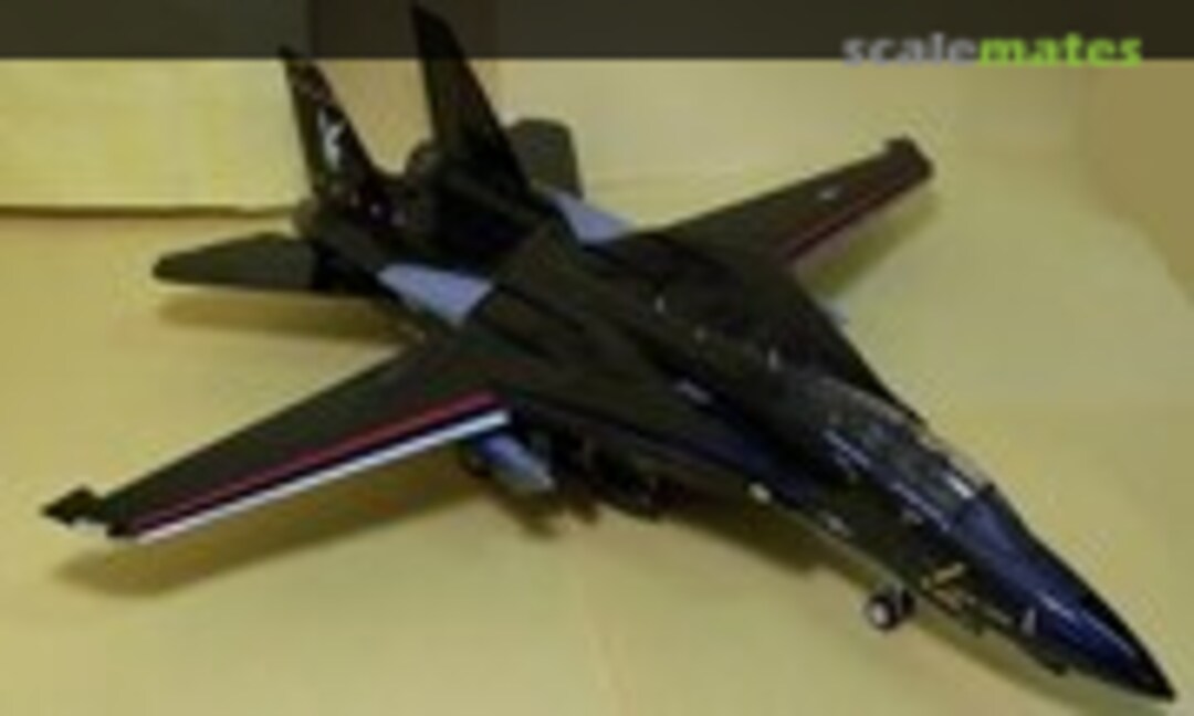 Grumman F-14D Tomcat 1:48