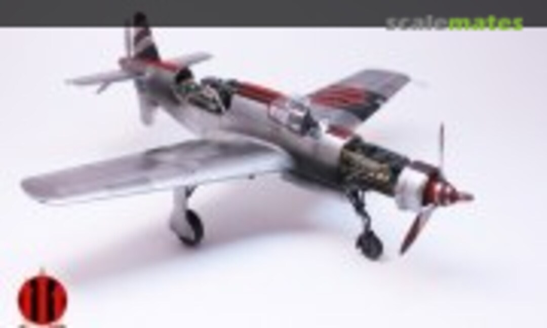 Dornier Do 335 Racing Arrow 1:48