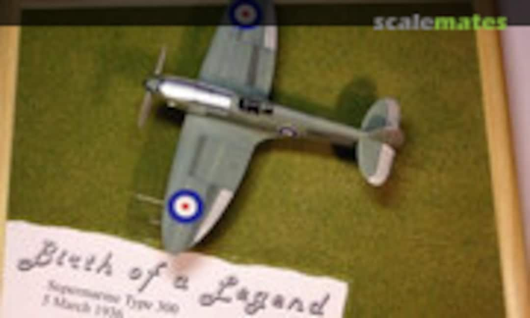 Supermarine Type 300 1:72