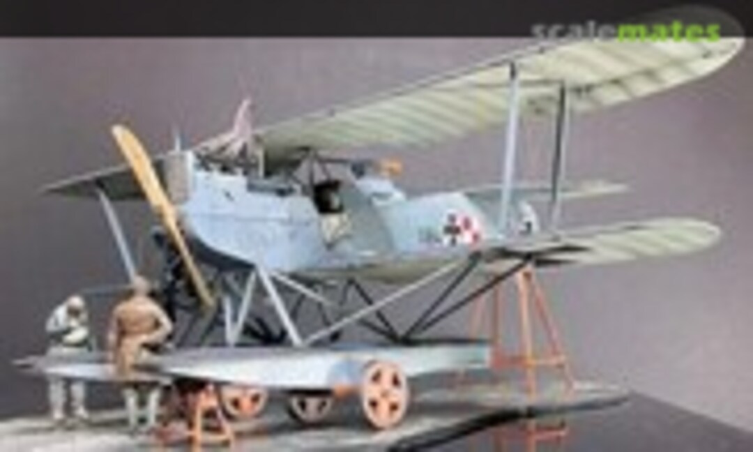 Hansa Brandenburg W.12 Wings