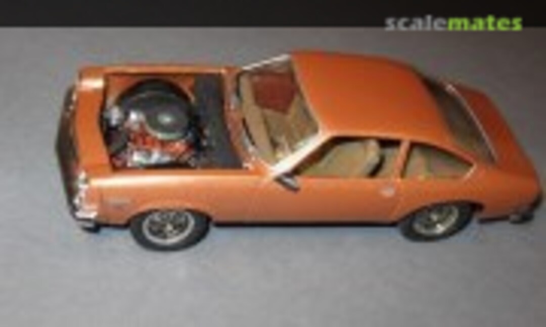 1977 Chevrolet Vega 1:25