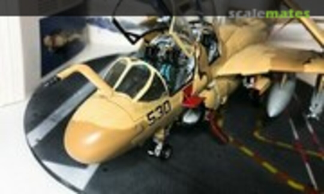 Grumman EA-6B Prowler 1:48