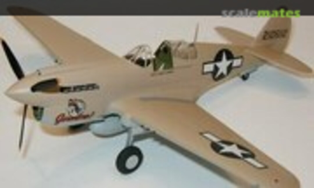 Curtiss P-40N Warhawk 1:48