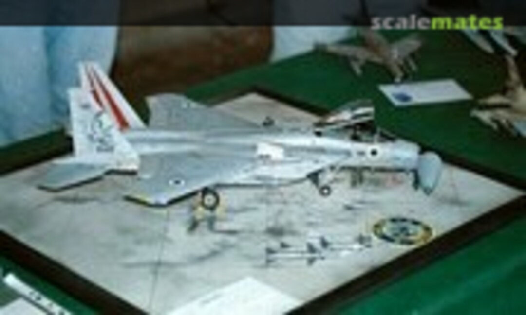 Israeli Model Show No