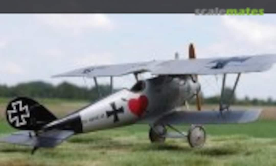 Pfalz D.III 1:48