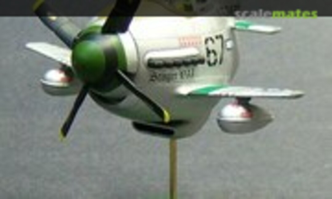 North American P-51 Mustang Egg Plane 1:Egg