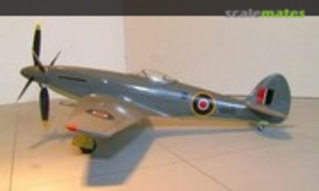 Supermarine Seafang 1:48