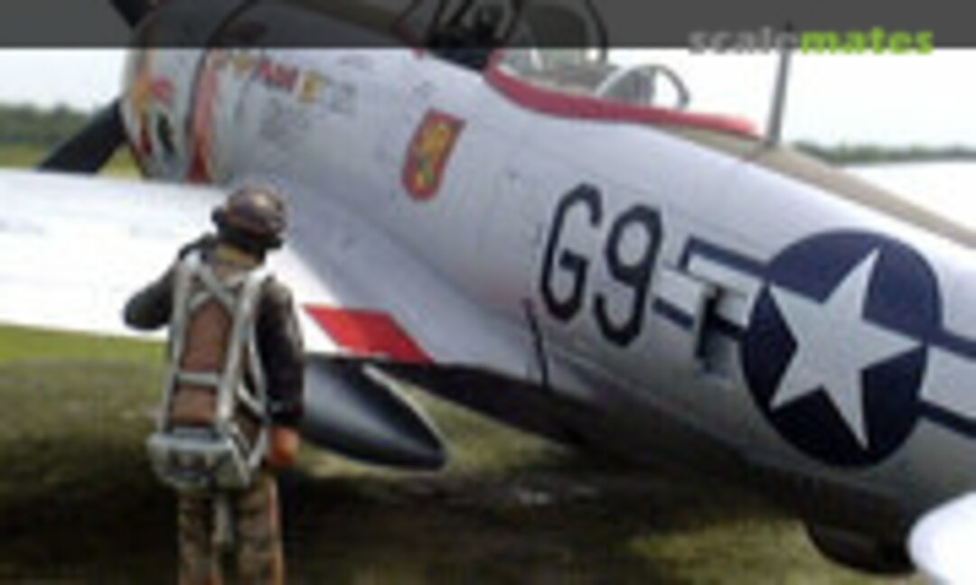 Republic P-47D Thunderbolt 1:48