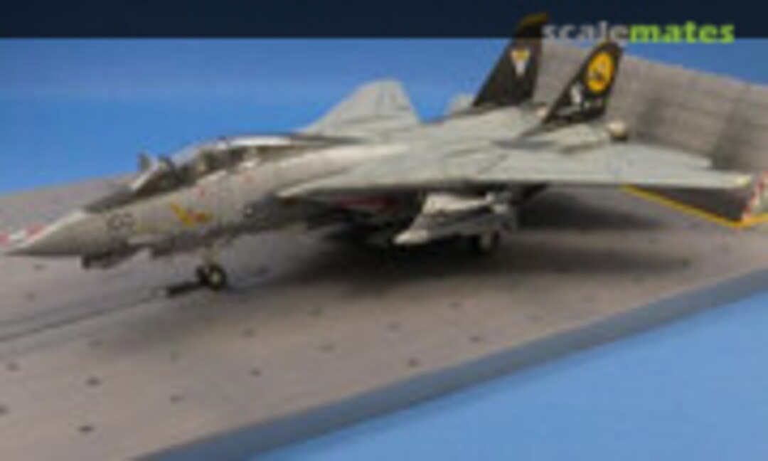 Grumman F-14D Tomcat 1:72