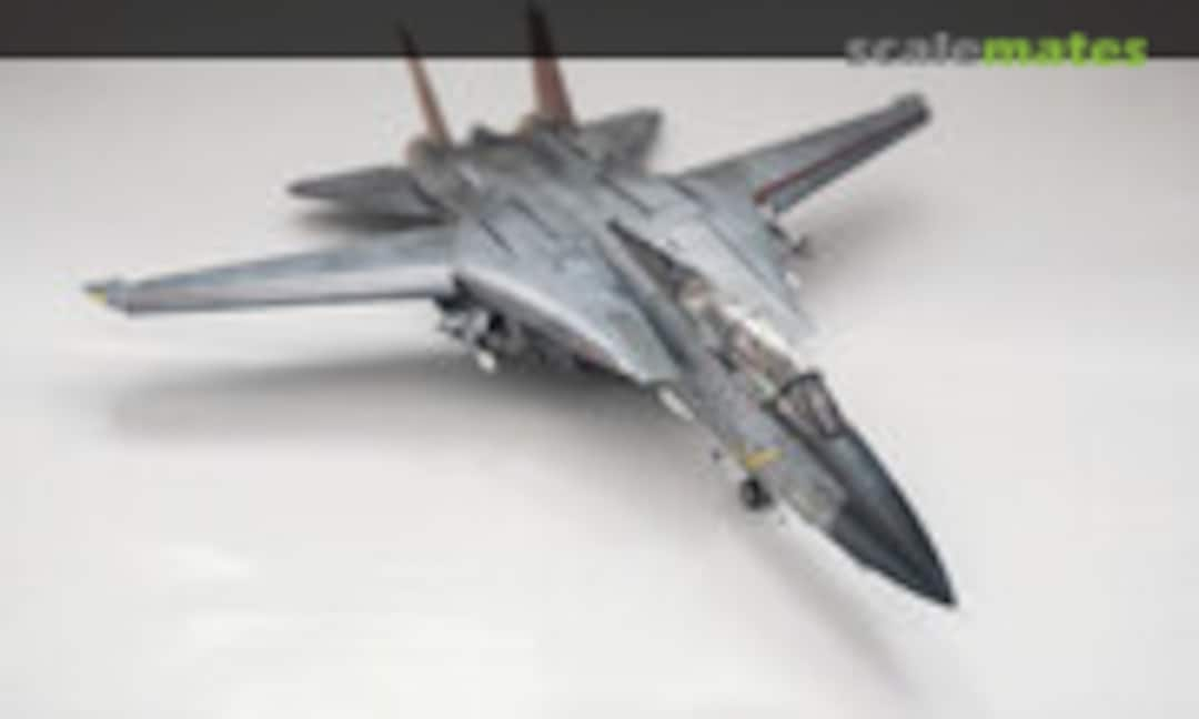 Grumman F-14D Super Tomcat 1:48