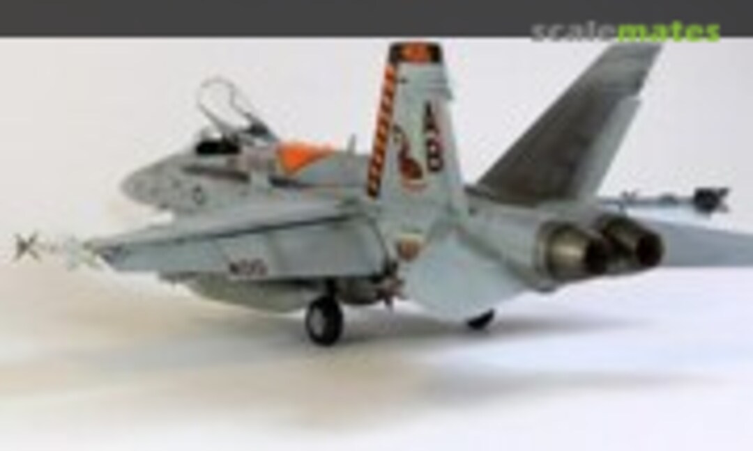 McDonnell Douglas F/A-18C Hornet 1:48