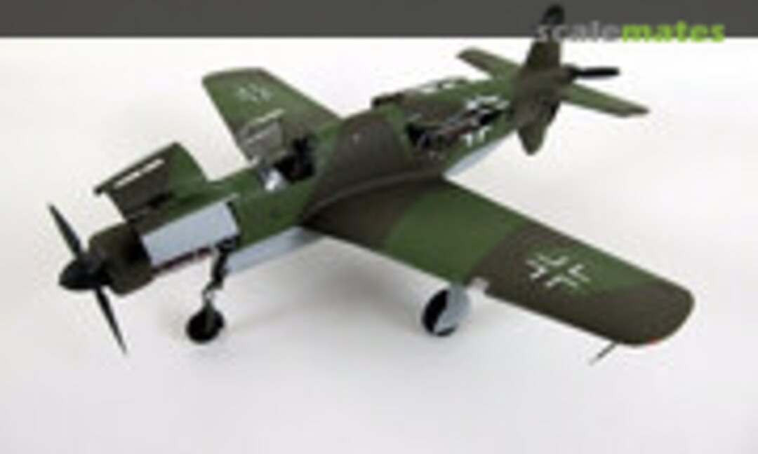 Dornier Do 335 A-0 1:48