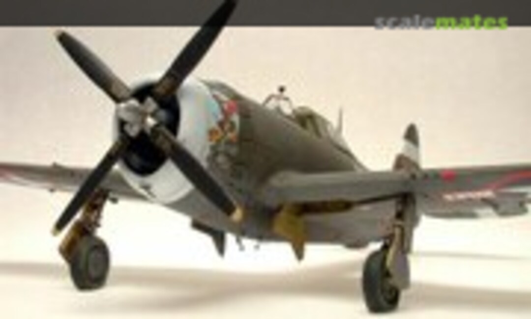 Republic P-47D-5 Thunderbolt 1:48