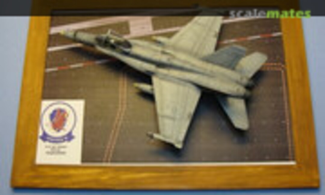 McDonnell Douglas F/A-18C Hornet 1:72