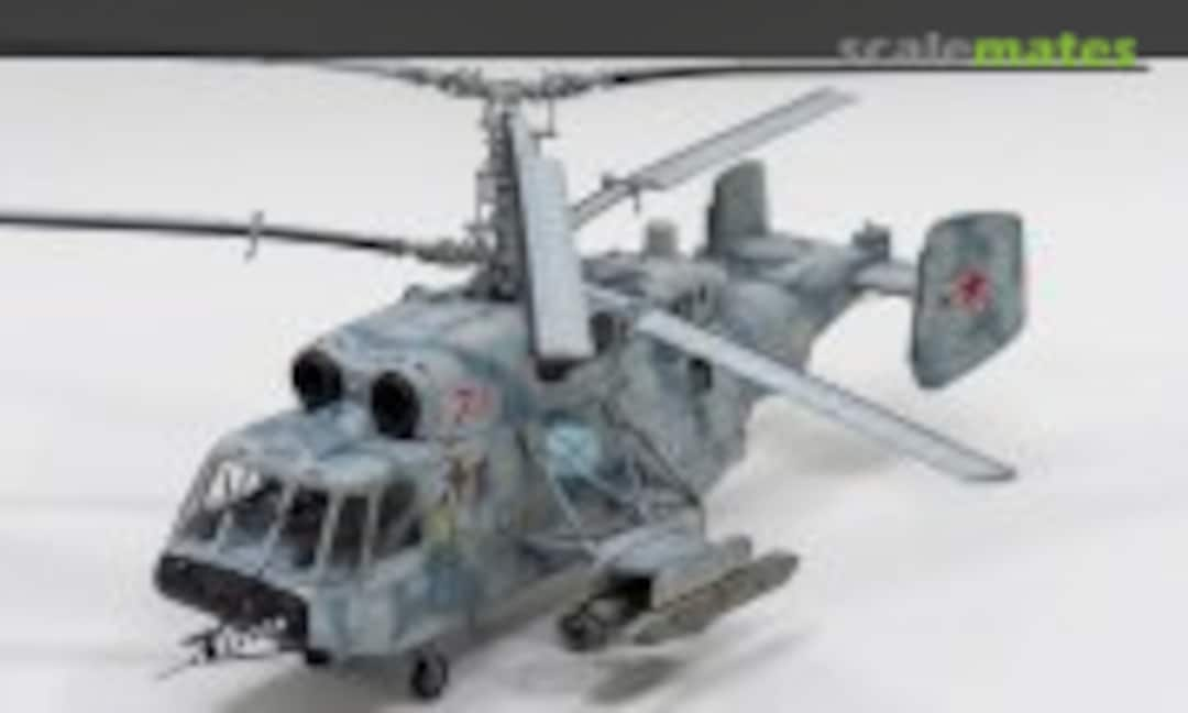 KA-29 1:35