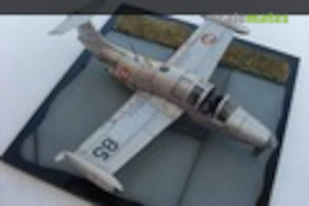 Morane-Saulnier Paris 1:72