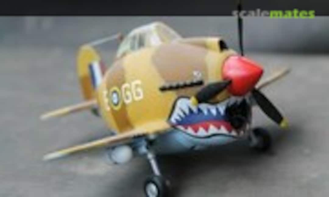 Curtiss P-40 Warhawk 1:Egg